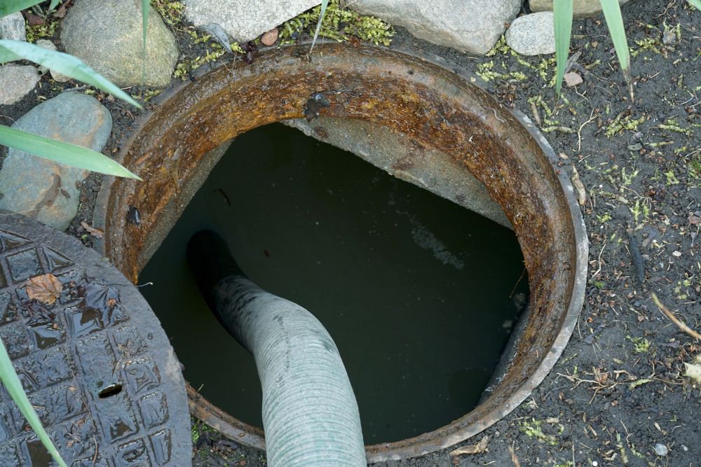 Vidange fosse septique